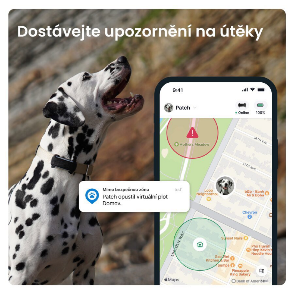 Tractive DOG 6 s upozorněním při útěku psa z bezpečné zóny