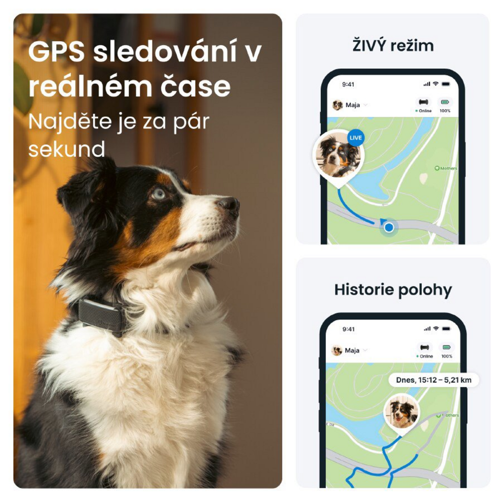 GPS sledování psa v reálném čase a historie polohy v aplikaci Tractive